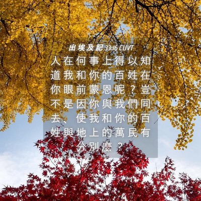 Picture 04 - 出 埃 及 記 33:16 CUVT - 人 在 何 事 上 得 以 知 道 我 和 你 - Bible Verse Picture