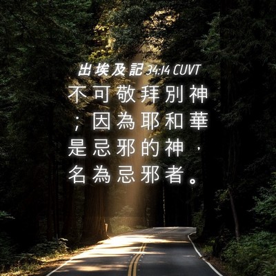 Picture 04 - 出 埃 及 記 34:14 CUVT - 不 可 敬 拜 別 神 ； 因 為 耶 和 華 - Bible Verse Picture