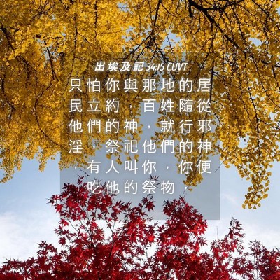 Picture 04 - 出 埃 及 記 34:15 CUVT - 只 怕 你 與 那 地 的 居 民 立 約 ， - Bible Verse Picture