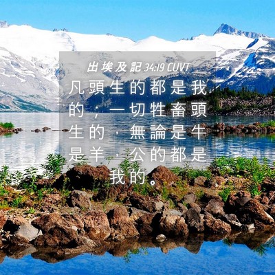 Picture 04 - 出 埃 及 記 34:19 CUVT - 凡 頭 生 的 都 是 我 的 ； 一 切 牲 - Bible Verse Picture