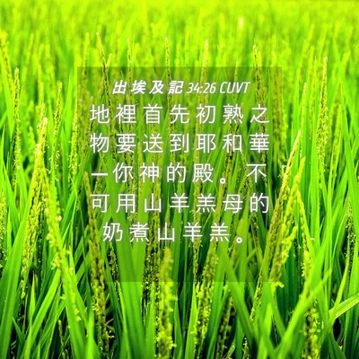Picture 04 - 出 埃 及 記 34:26 CUVT - 地 裡 首 先 初 熟 之 物 要 送 到 耶 - Bible Verse Picture