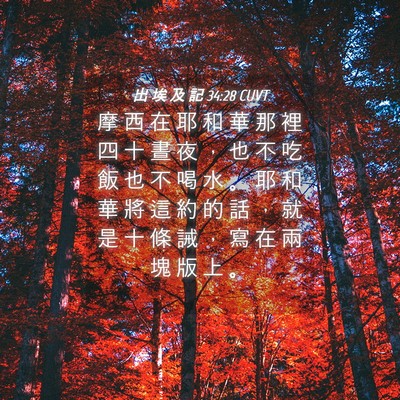 Picture 04 - 出 埃 及 記 34:28 CUVT - 摩 西 在 耶 和 華 那 裡 四 十 晝 夜 - Bible Verse Picture