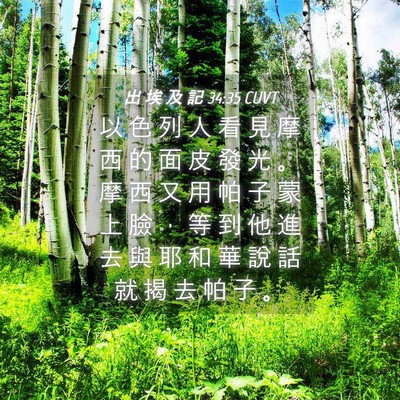 Picture 04 - 出 埃 及 記 34:35 CUVT - 以 色 列 人 看 見 摩 西 的 面 皮 發 - Bible Verse Picture