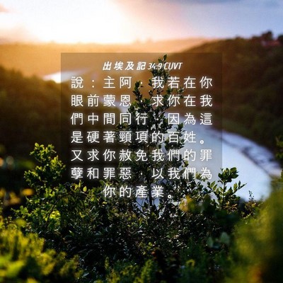 Picture 04 - 出 埃 及 記 34:9 CUVT - 說 ： 主 阿 ， 我 若 在 你 眼 前 蒙 - Bible Verse Picture
