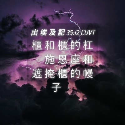 Picture 04 - 出 埃 及 記 35:12 CUVT - 櫃 和 櫃 的 杠 ， 施 恩 座 和 遮 掩 - Bible Verse Picture