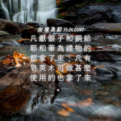 Picture 04 - 出 埃 及 記 35:24 CUVT - 凡 獻 銀 子 和 銅 給 耶 和 華 為 禮 - Bible Verse Picture