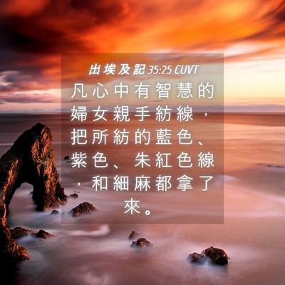 Picture 04 - 出 埃 及 記 35:25 CUVT - 凡 心 中 有 智 慧 的 婦 女 親 手 紡 - Bible Verse Picture