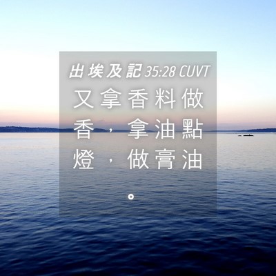 Picture 04 - 出 埃 及 記 35:28 CUVT - 又 拿 香 料 做 香 ， 拿 油 點 燈 ， - Bible Verse Picture