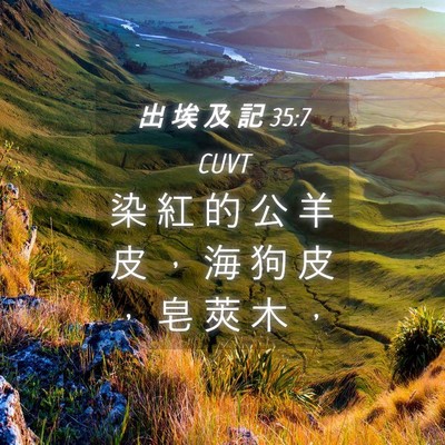 Picture 04 - 出 埃 及 記 35:7 CUVT - 染 紅 的 公 羊 皮 ， 海 狗 皮 ， 皂 - Bible Verse Picture