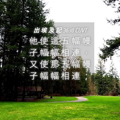 Picture 04 - 出 埃 及 記 36:10 CUVT - 他 使 這 五 幅 幔 子 幅 幅 相 連 ， - Bible Verse Picture