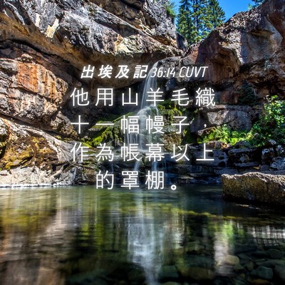 Picture 04 - 出 埃 及 記 36:14 CUVT - 他 用 山 羊 毛 織 十 一 幅 幔 子 ， - Bible Verse Picture