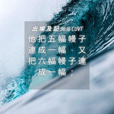 Picture 04 - 出 埃 及 記 36:16 CUVT - 他 把 五 幅 幔 子 連 成 一 幅 ， 又 - Bible Verse Picture
