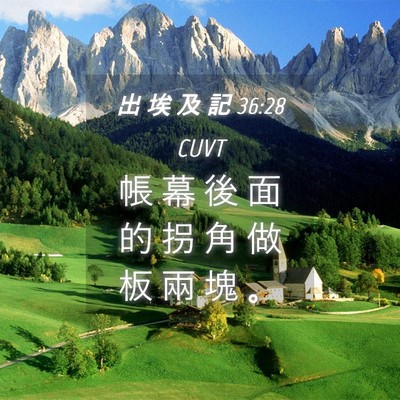 Picture 04 - 出 埃 及 記 36:28 CUVT - 帳 幕 後 面 的 拐 角 做 板 兩 塊 - Bible Verse Picture