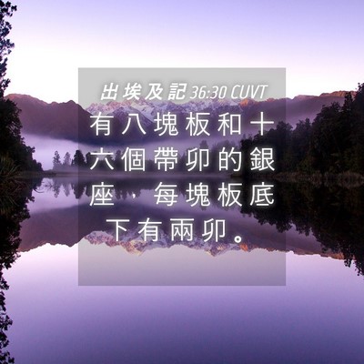 Picture 04 - 出 埃 及 記 36:30 CUVT - 有 八 塊 板 和 十 六 個 帶 卯 的 銀 - Bible Verse Picture
