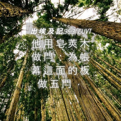 Picture 04 - 出 埃 及 記 36:31 CUVT - 他 用 皂 莢 木 做 閂 ： 為 帳 幕 這 - Bible Verse Picture