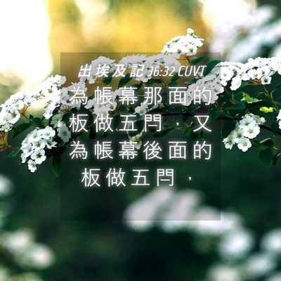 Picture 04 - 出 埃 及 記 36:32 CUVT - 為 帳 幕 那 面 的 板 做 五 閂 ， 又 - Bible Verse Picture