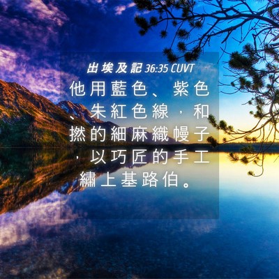 Picture 04 - 出 埃 及 記 36:35 CUVT - 他 用 藍 色 、 紫 色 、 朱 紅 色 線 - Bible Verse Picture