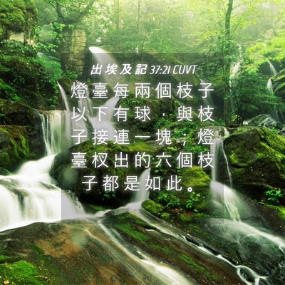 Picture 04 - 出 埃 及 記 37:21 CUVT - 燈 臺 每 兩 個 枝 子 以 下 有 球 ， - Bible Verse Picture