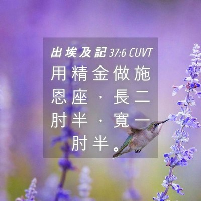 Picture 04 - 出 埃 及 記 37:6 CUVT - 用 精 金 做 施 恩 座 ， 長 二 肘 半 - Bible Verse Picture