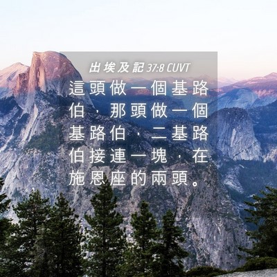 Picture 04 - 出 埃 及 記 37:8 CUVT - 這 頭 做 一 個 基 路 伯 ， 那 頭 做 - Bible Verse Picture