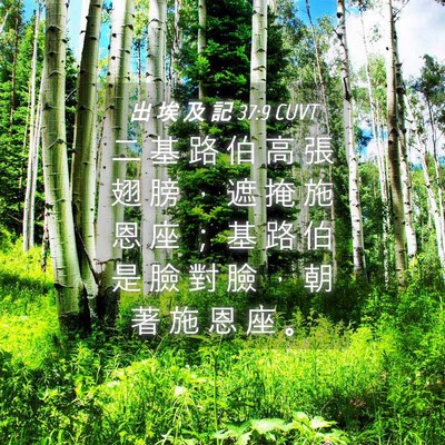 Picture 04 - 出 埃 及 記 37:9 CUVT - 二 基 路 伯 高 張 翅 膀 ， 遮 掩 施 - Bible Verse Picture