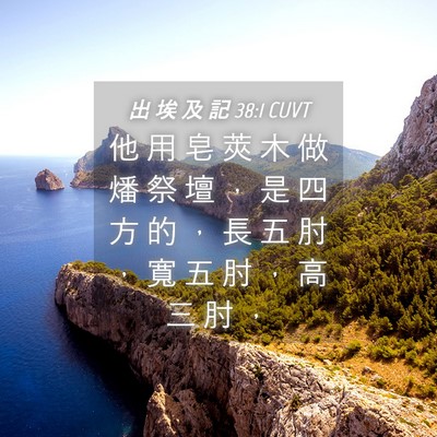 Picture 04 - 出 埃 及 記 38:1 CUVT - 他 用 皂 莢 木 做 燔 祭 壇 ， 是 四 - Bible Verse Picture