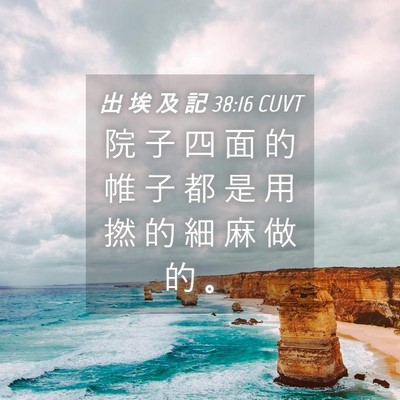 Picture 04 - 出 埃 及 記 38:16 CUVT - 院 子 四 面 的 帷 子 都 是 用 撚 的 - Bible Verse Picture