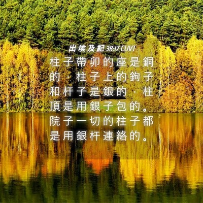 Picture 04 - 出 埃 及 記 38:17 CUVT - 柱 子 帶 卯 的 座 是 銅 的 ， 柱 子 - Bible Verse Picture