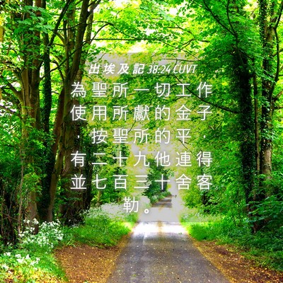 Picture 04 - 出 埃 及 記 38:24 CUVT - 為 聖 所 一 切 工 作 使 用 所 獻 的 - Bible Verse Picture