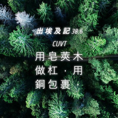 Picture 04 - 出 埃 及 記 38:6 CUVT - 用 皂 莢 木 做 杠 ， 用 銅 包 裹 - Bible Verse Picture