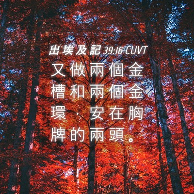Picture 04 - 出 埃 及 記 39:16 CUVT - 又 做 兩 個 金 槽 和 兩 個 金 環 ， - Bible Verse Picture