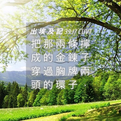 Picture 04 - 出 埃 及 記 39:17 CUVT - 把 那 兩 條 擰 成 的 金 鍊 子 穿 過 - Bible Verse Picture
