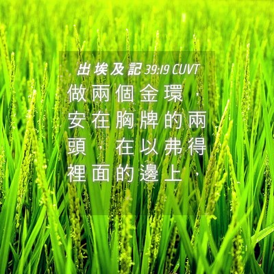 Picture 04 - 出 埃 及 記 39:19 CUVT - 做 兩 個 金 環 ， 安 在 胸 牌 的 兩 - Bible Verse Picture