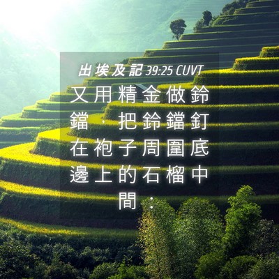 Picture 04 - 出 埃 及 記 39:25 CUVT - 又 用 精 金 做 鈴 鐺 ， 把 鈴 鐺 釘 - Bible Verse Picture