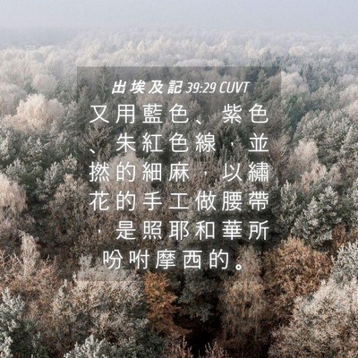 Picture 04 - 出 埃 及 記 39:29 CUVT - 又 用 藍 色 、 紫 色 、 朱 紅 色 線 - Bible Verse Picture