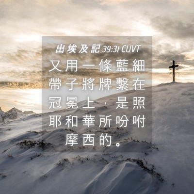Picture 04 - 出 埃 及 記 39:31 CUVT - 又 用 一 條 藍 細 帶 子 將 牌 繫 在 - Bible Verse Picture