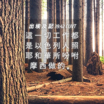 Picture 04 - 出 埃 及 記 39:42 CUVT - 這 一 切 工 作 都 是 以 色 列 人 照 - Bible Verse Picture