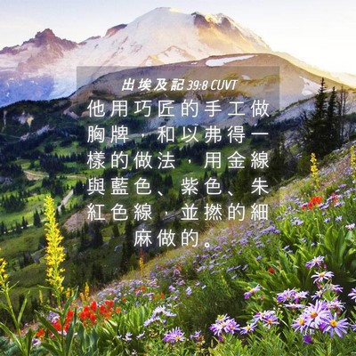 Picture 04 - 出 埃 及 記 39:8 CUVT - 他 用 巧 匠 的 手 工 做 胸 牌 ， 和 - Bible Verse Picture