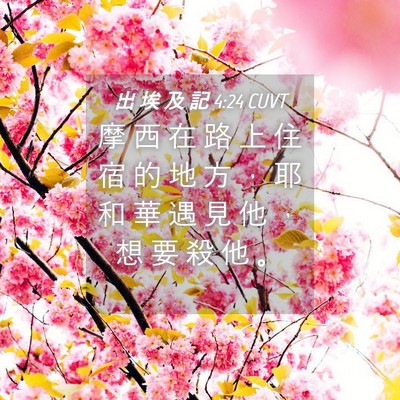 Picture 04 - 出 埃 及 記 4:24 CUVT - 摩 西 在 路 上 住 宿 的 地 方 ， 耶 - Bible Verse Picture