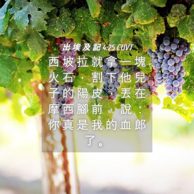 Picture 04 - 出 埃 及 記 4:25 CUVT - 西 坡 拉 就 拿 一 塊 火 石 ， 割 下 - Bible Verse Picture