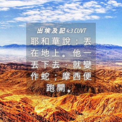 Picture 04 - 出 埃 及 記 4:3 CUVT - 耶 和 華 說 ： 丟 在 地 上 。 他 一 - Bible Verse Picture