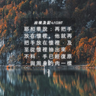 Picture 04 - 出 埃 及 記 4:7 CUVT - 耶 和 華 說 ： 再 把 手 放 在 懷 裡 - Bible Verse Picture
