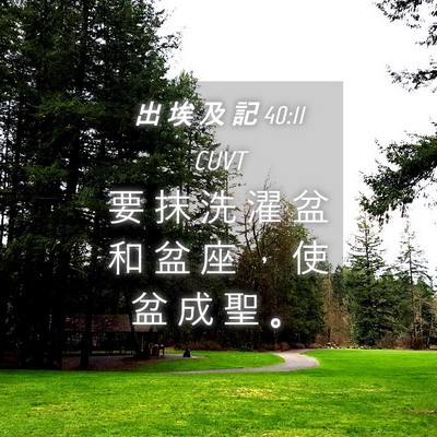 Picture 04 - 出 埃 及 記 40:11 CUVT - 要 抹 洗 濯 盆 和 盆 座 ， 使 盆 成 - Bible Verse Picture