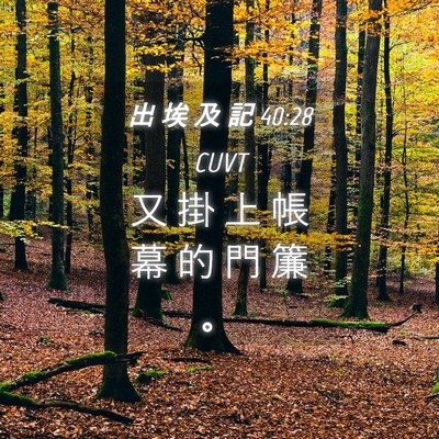 Picture 04 - 出 埃 及 記 40:28 CUVT - 又 掛 上 帳 幕 的 門 簾 - Bible Verse Picture