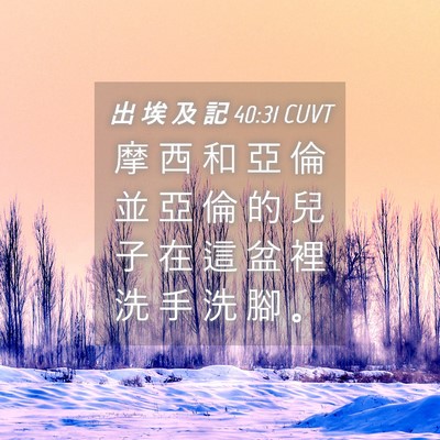 Picture 04 - 出 埃 及 記 40:31 CUVT - 摩 西 和 亞 倫 並 亞 倫 的 兒 子 在 - Bible Verse Picture