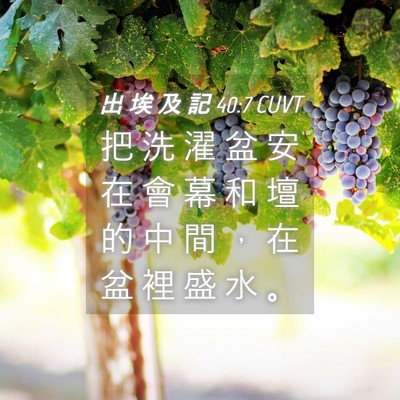 Picture 04 - 出 埃 及 記 40:7 CUVT - 把 洗 濯 盆 安 在 會 幕 和 壇 的 中 - Bible Verse Picture
