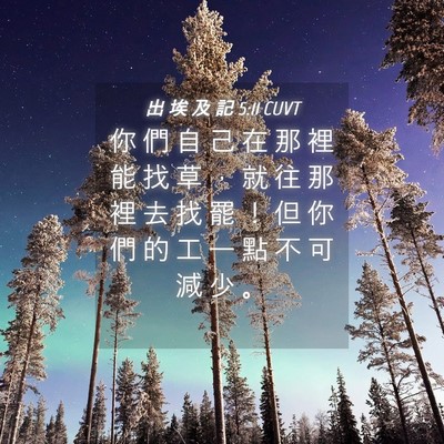 Picture 04 - 出 埃 及 記 5:11 CUVT - 你 們 自 己 在 那 裡 能 找 草 ， 就 - Bible Verse Picture