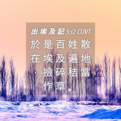 Picture 04 - 出 埃 及 記 5:12 CUVT - 於 是 百 姓 散 在 埃 及 遍 地 ， 撿 - Bible Verse Picture