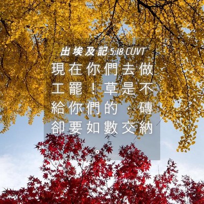 Picture 04 - 出 埃 及 記 5:18 CUVT - 現 在 你 們 去 做 工 罷 ！ 草 是 不 - Bible Verse Picture