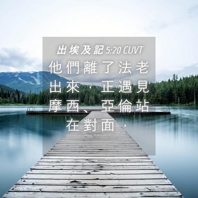 Picture 04 - 出 埃 及 記 5:20 CUVT - 他 們 離 了 法 老 出 來 ， 正 遇 見 - Bible Verse Picture